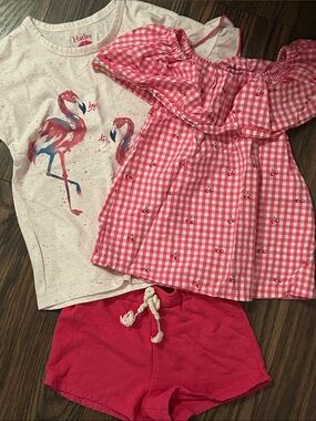 Hatley Pink Gingham Ruffle Top, Flamingo Graphic Tee & Magenta Shorts